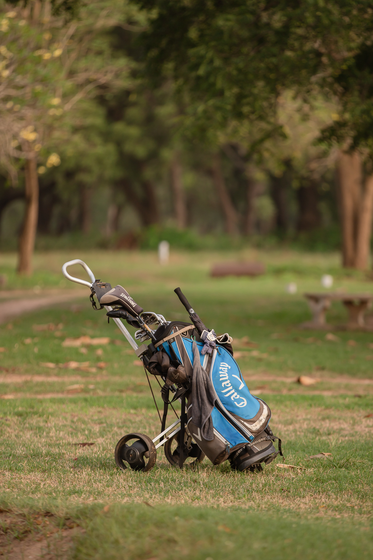 ghis_golf-0002.jpg